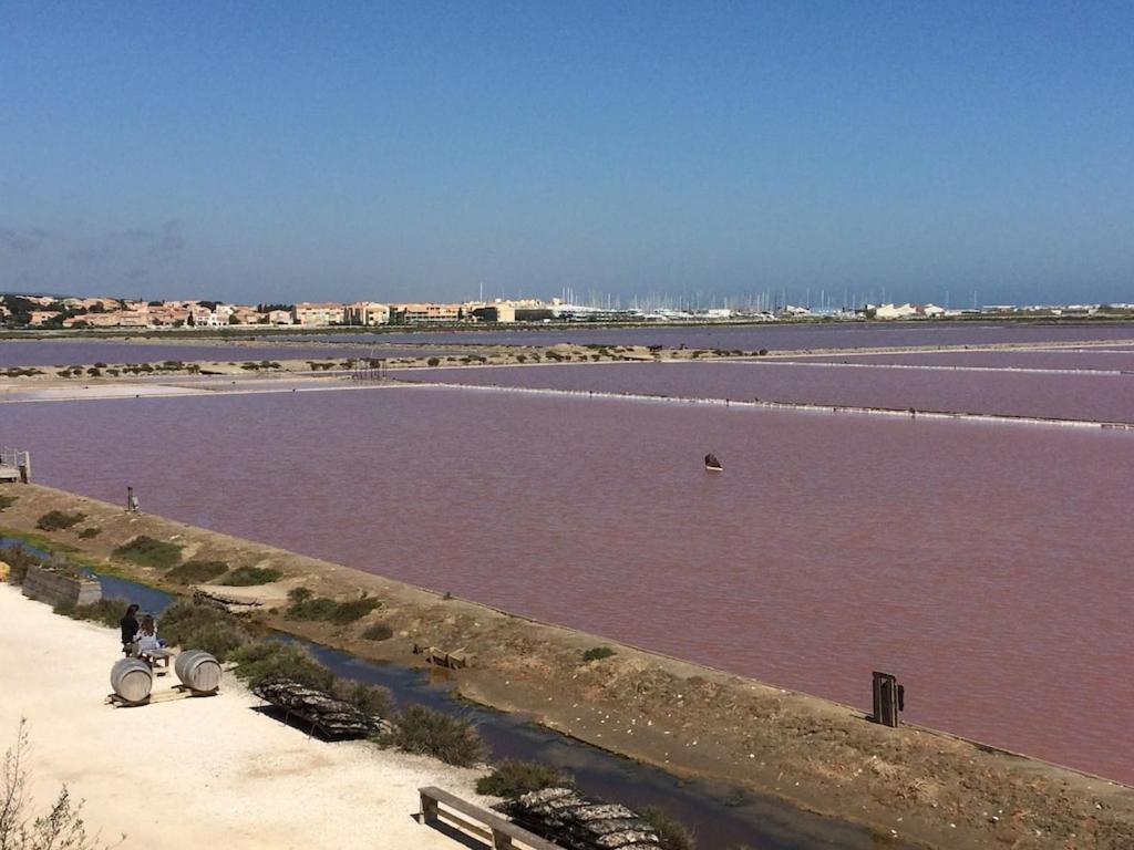 Gruissan Appartement Calme, Vue Sur Port De Plaisance -Clim, Empl.Parking Exterior foto